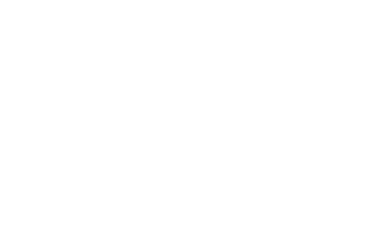LM